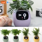 🌿 Smart Planter – Self-Watering Indoor Garden with APP Control, LED Grow Light & Soil Sensor - Image 12