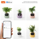 🌿 Smart Planter – Self-Watering Indoor Garden with APP Control, LED Grow Light & Soil Sensor - Image 15