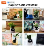 🌿 Smart Planter – Self-Watering Indoor Garden with APP Control, LED Grow Light & Soil Sensor - Image 20