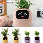 🌿 Smart Planter – Self-Watering Indoor Garden with APP Control, LED Grow Light & Soil Sensor