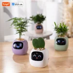 🌿 Smart Planter – Self-Watering Indoor Garden with APP Control, LED Grow Light & Soil Sensor - Image 16